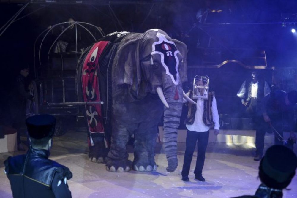 ludasm1_muelefant ludasm1_muelefant